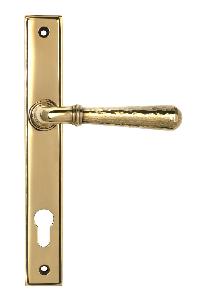 Aged Brass Hammered Newbury Slimline Espag. Lock Set